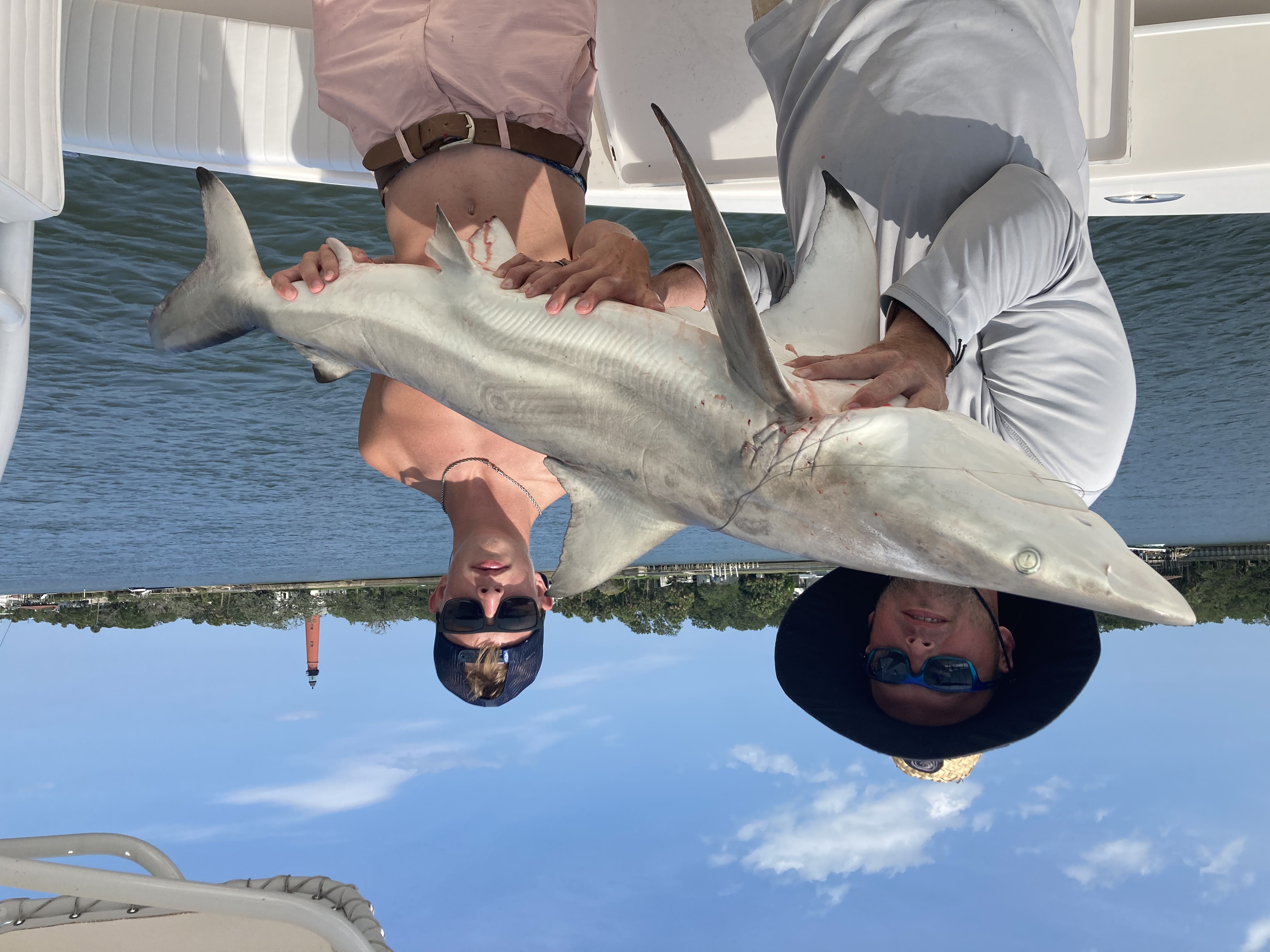 Blacktip shark caught during fishing trip in New Smyrna Beach FL