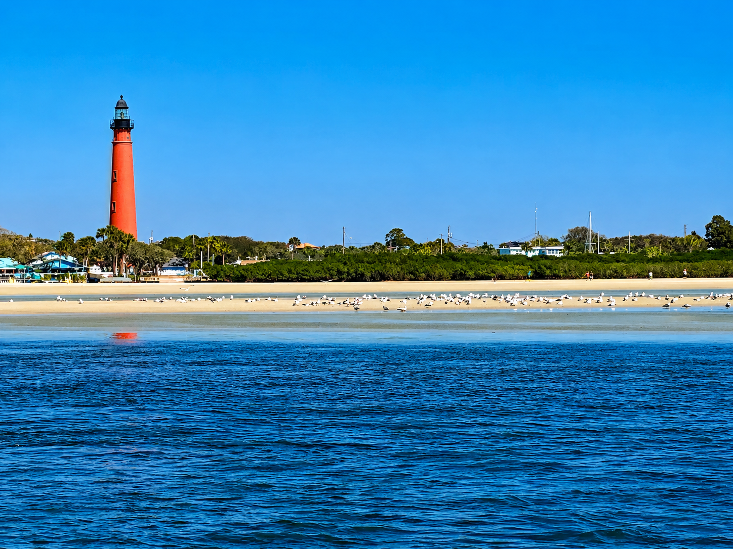 3-hour Florida river cruise with dolphin and manatee wildlife viewing for families