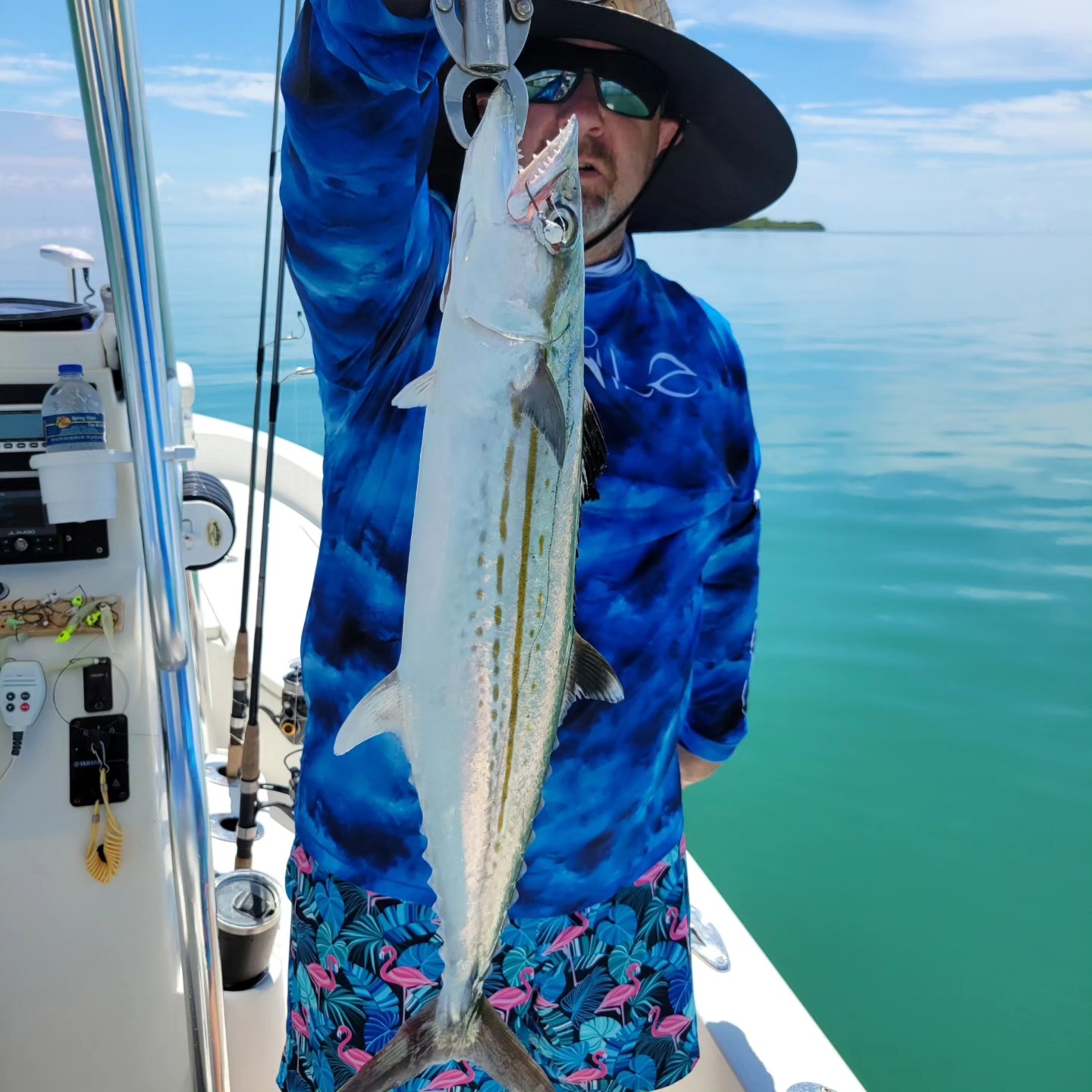 Cero mackerel fish caught in Islamorada