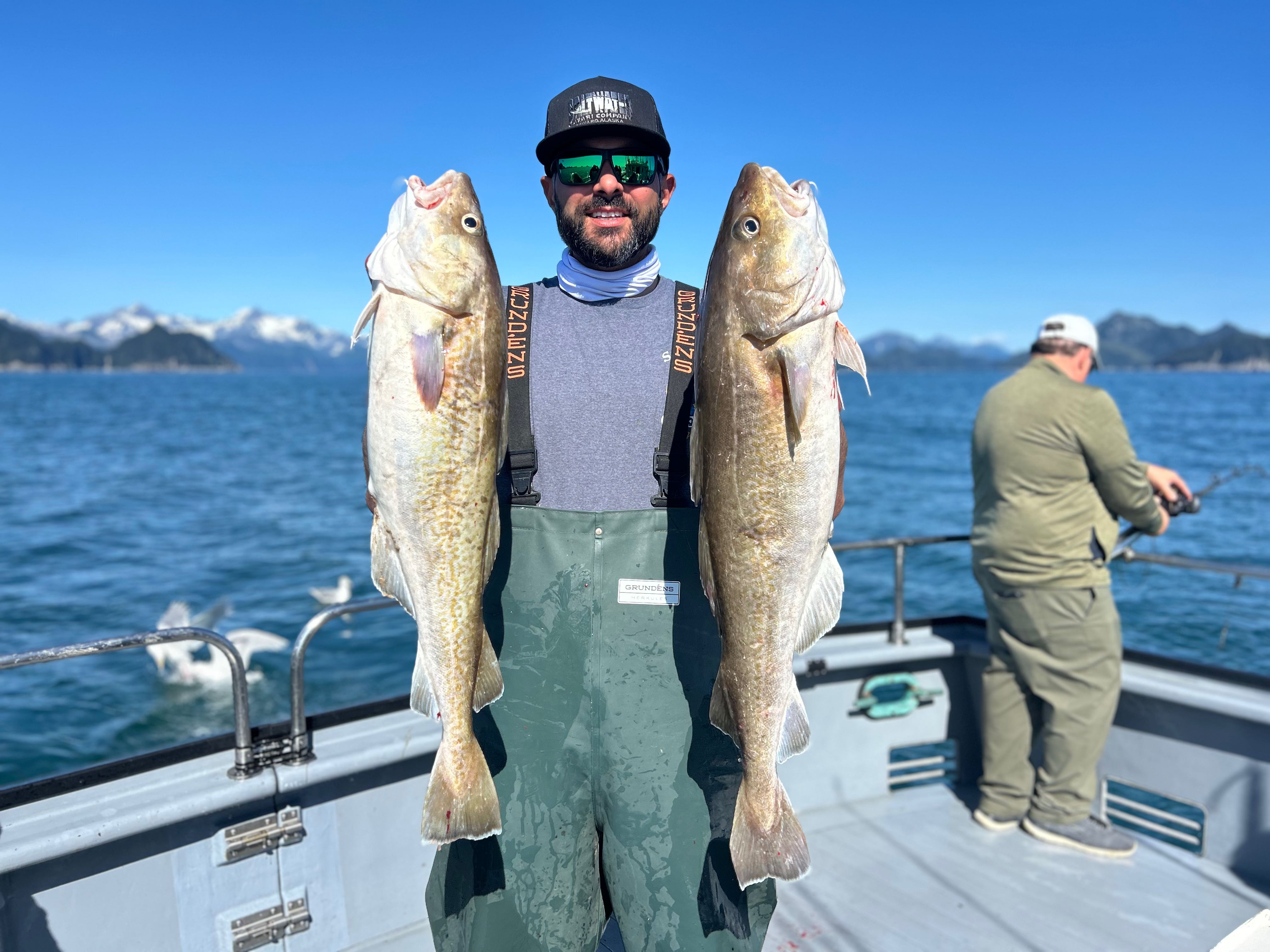 Two big fish caught in Seward while fishing