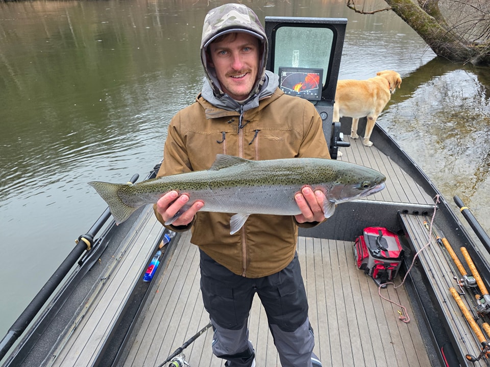 A single rainbow trout, 27 inches long, caught while fishing in Newaygo.