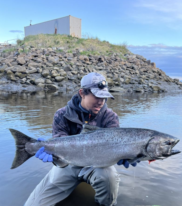 Chinook Salmon fishing in AK