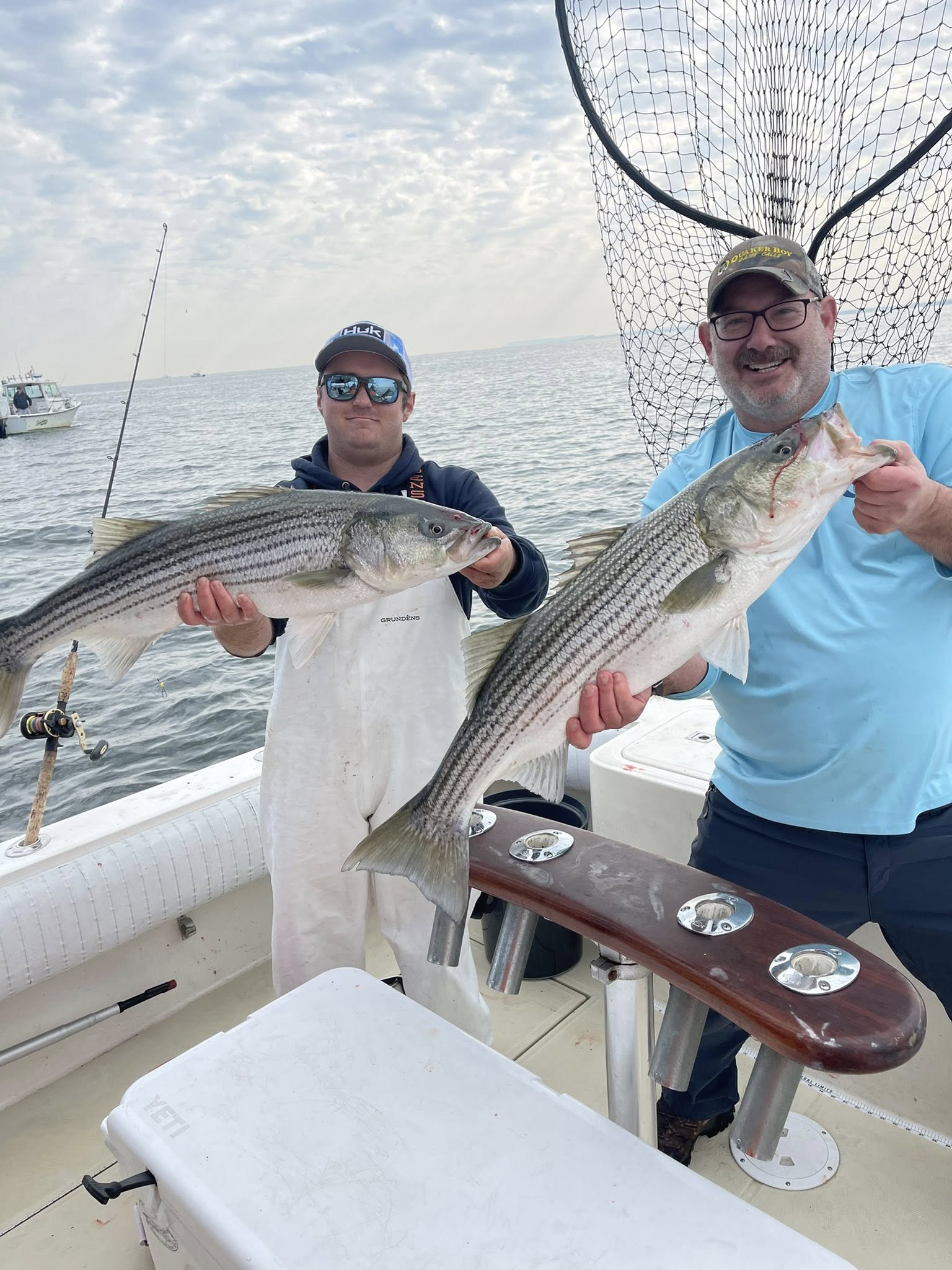 Two freshly caught striped bass displayed on fishing boat in Keyport NJ waters