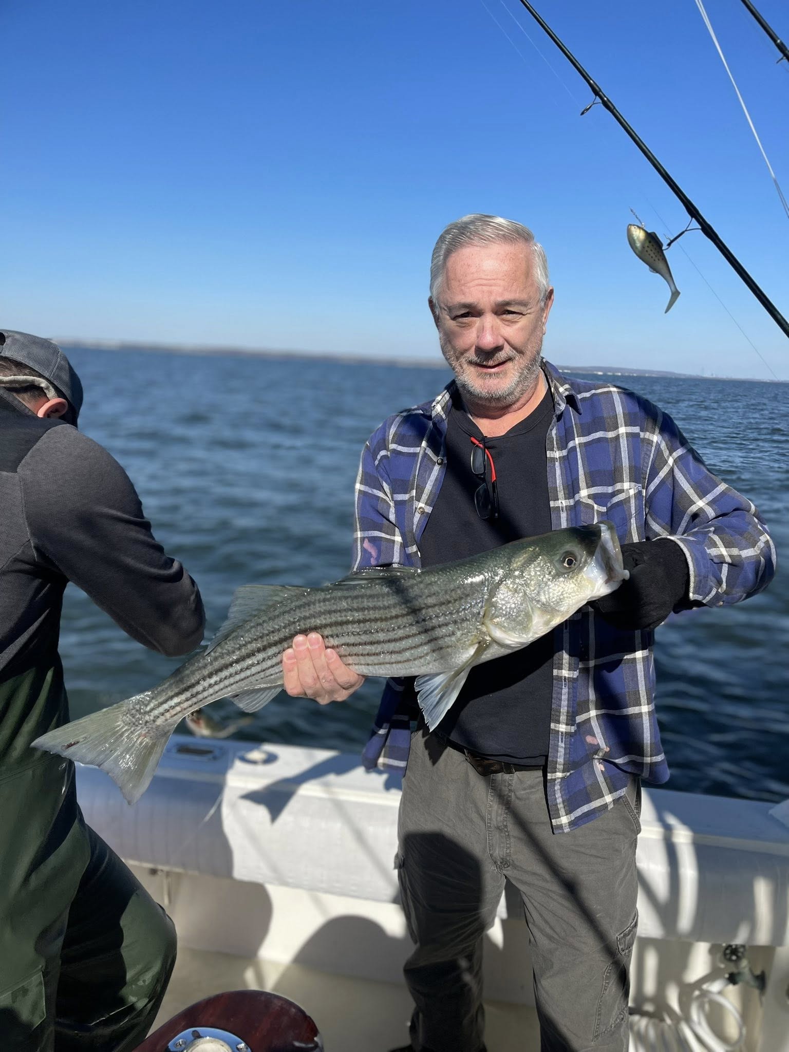 Striped bass catch on fishing boat in Keyport NJ waters