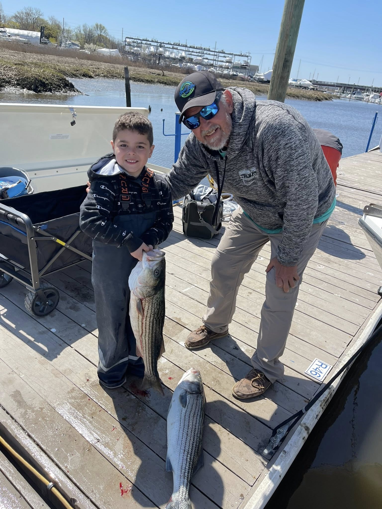 Two striped bass caught fishing in Keyport NJ displayed on wooden dock