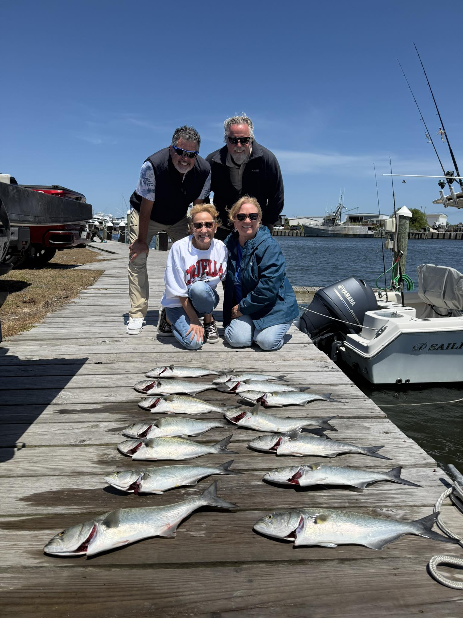 Successful bluefish fishing trip on dock in Wanchese NC with multiple fish displayed