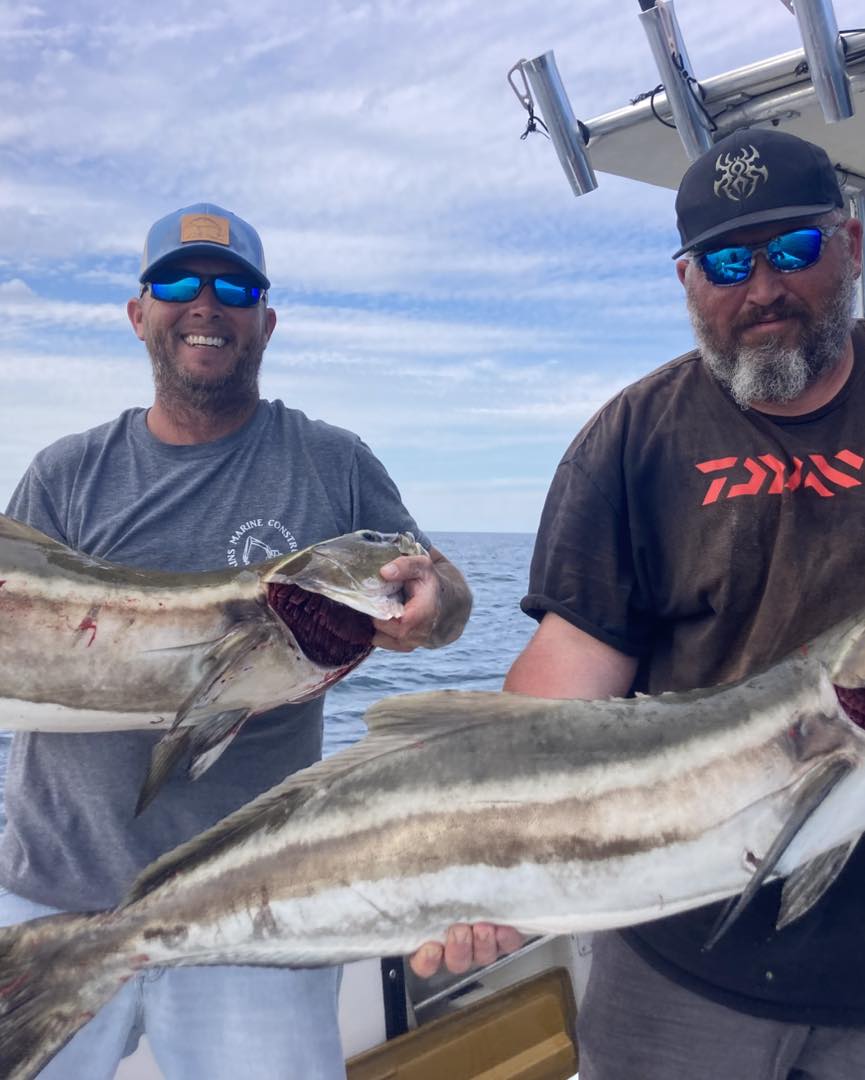 Two large cobia caught while fishing in Wanchese NC displayed on boat deck