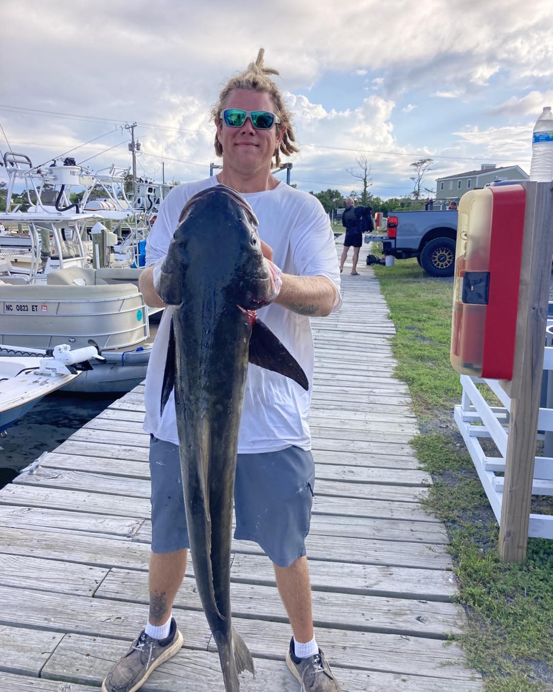 Large cobia fish catch displayed on marina dock in Wanchese NC