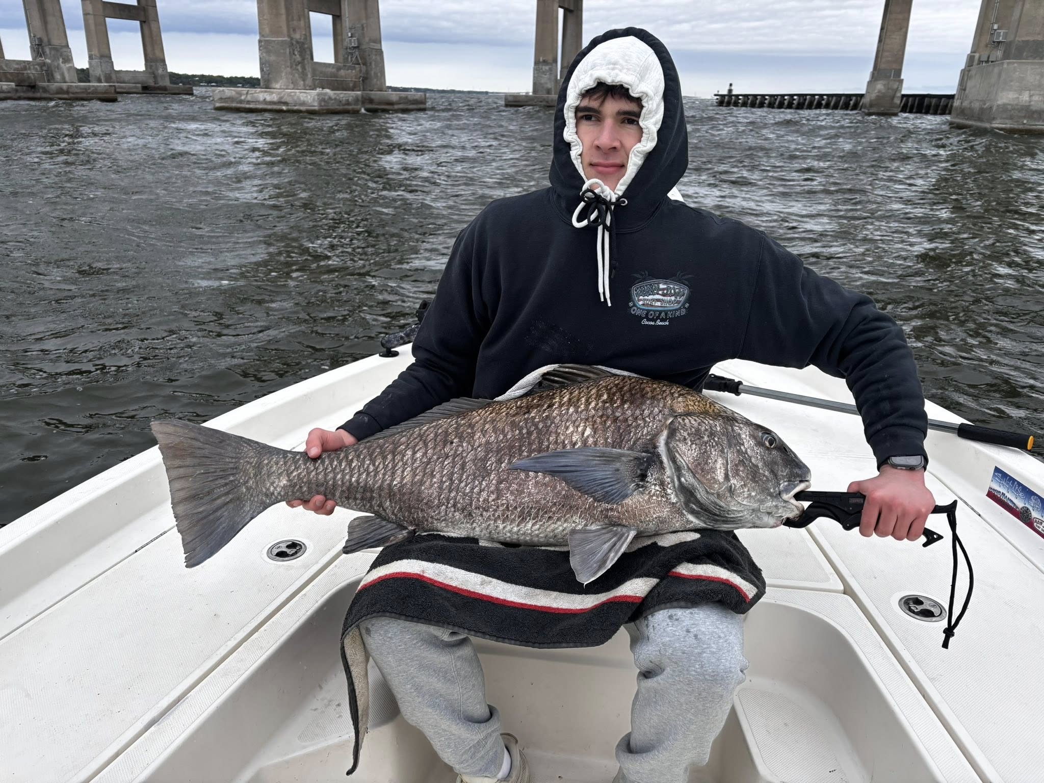 Black drum fish caught while fishing in Port Canaveral FL displayed on boat deck