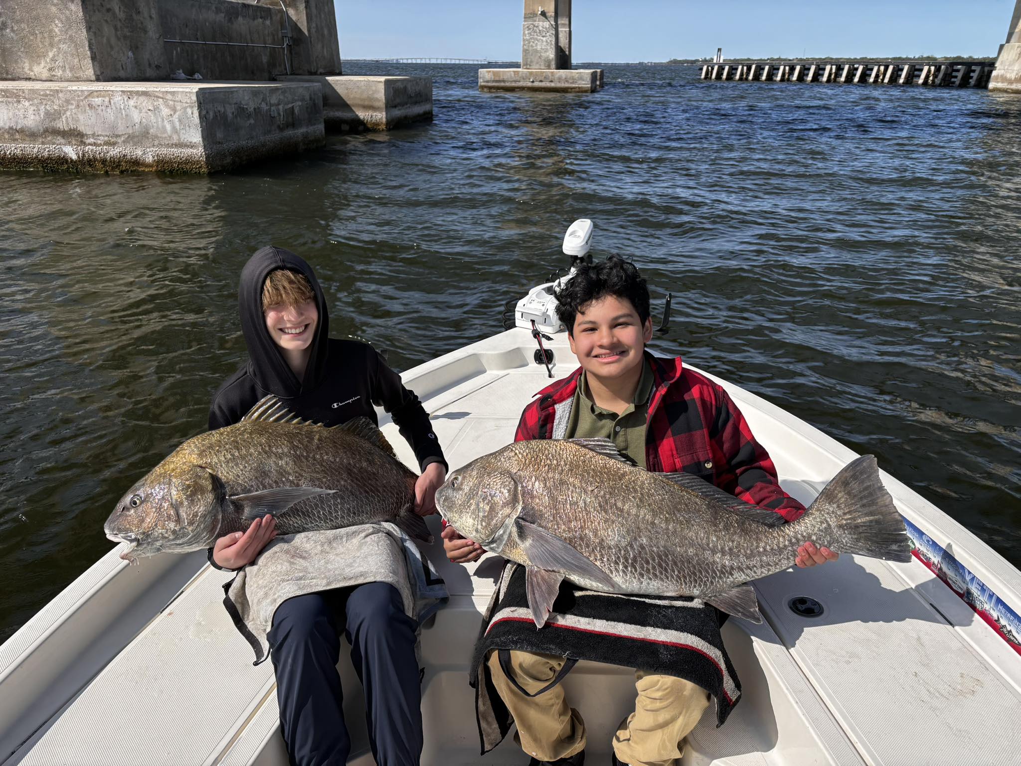 Two large black drum fish caught while fishing in Port Canaveral FL