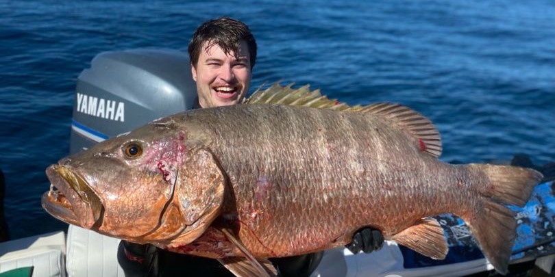 One fisherman at Sarasota with a fishing rod