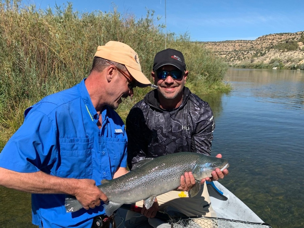 Rainbow Trout catch in New Mexico