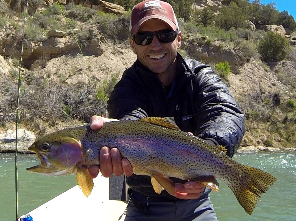 A single rainbow trout caught in Farmington