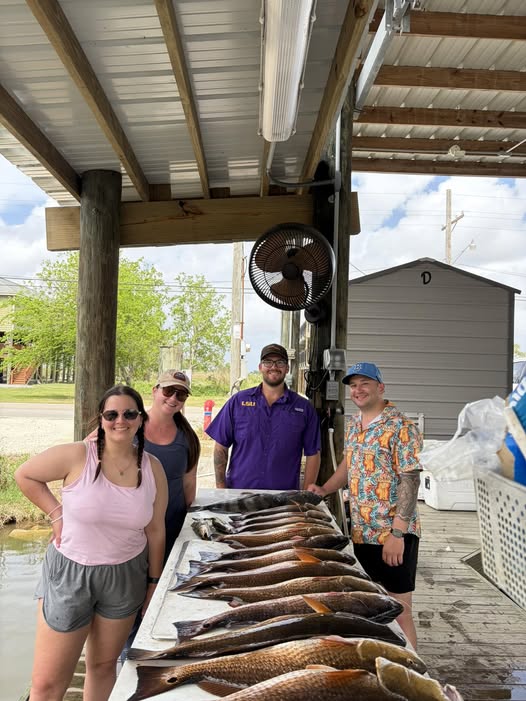Fish cleaning station with freshly caught fish laid out on table at Hopedale LA fishing dock