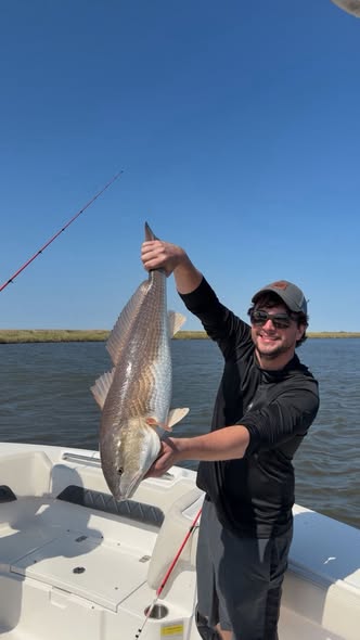 Redfish caught during fishing trip in Hopedale Louisiana