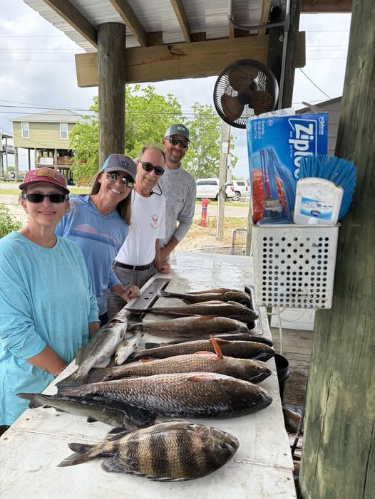 Fresh caught sheepshead and redfish laid out on cleaning table at fishing station in Hopedale LA