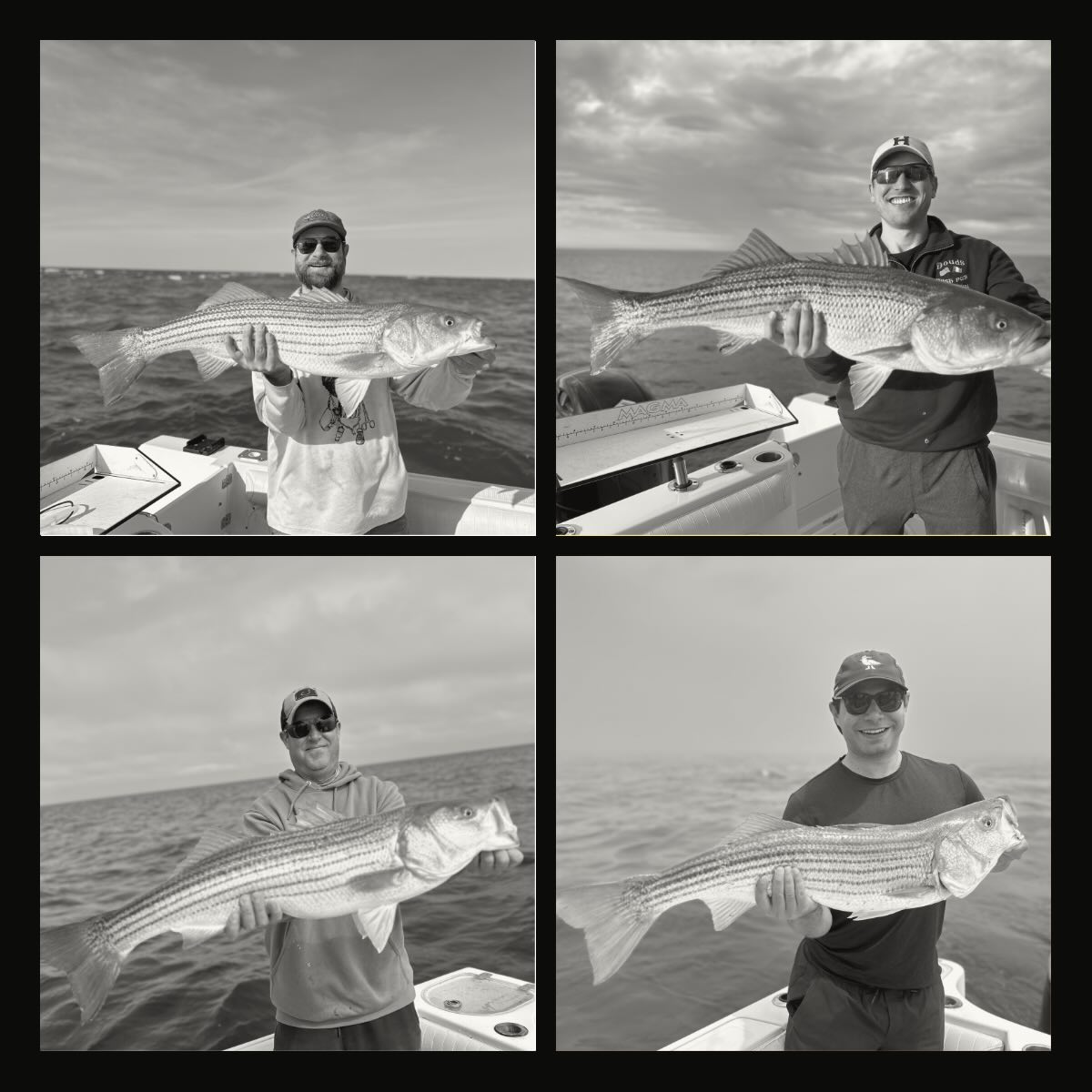 Four striped bass catches displayed on fishing boat in Orleans MA waters