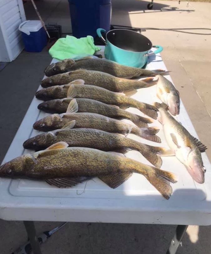 Reeled In Plenty of Walleye Lake Sakakawea