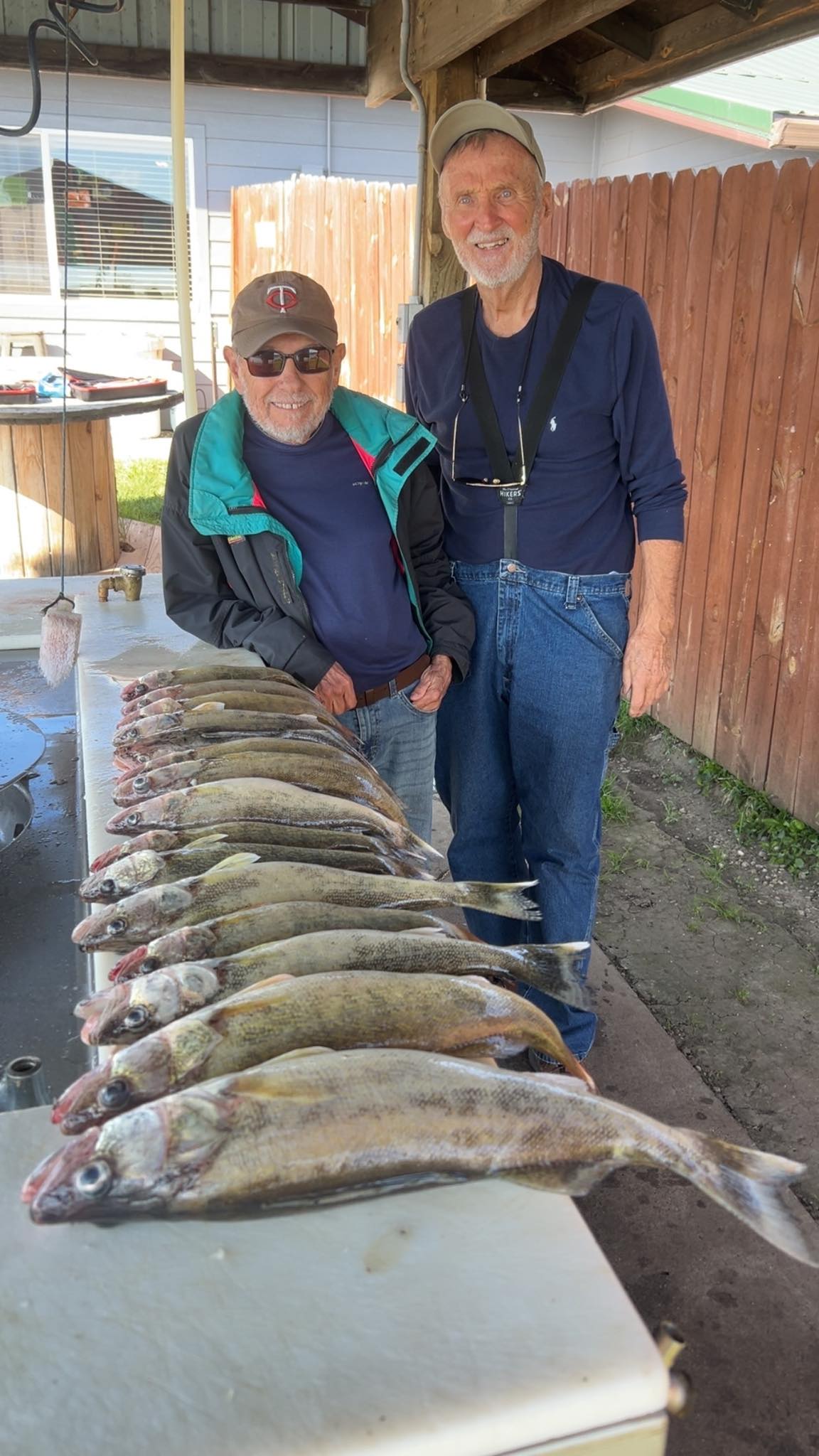 Fresh walleye and sauger catch laid out on cleaning table at fishing station in Beulah ND