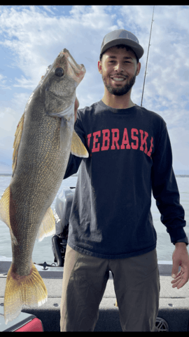 Walleye Fishing Guide in Lake Sakakawea