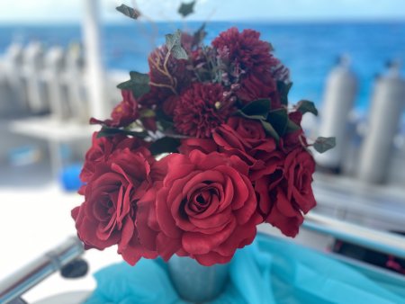 Private underwater wedding ceremony in Key Largo with bride and groom scuba diving in Florida Keys