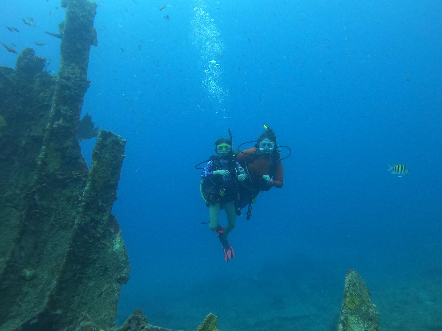 Scuba divers exploring coral reef at Molasses Reef in Key Largo Florida Keys Marine Sanctuary