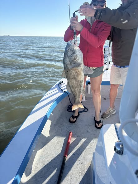 Large drum fish caught on fishing charter boat in Corpus Christi TX waters