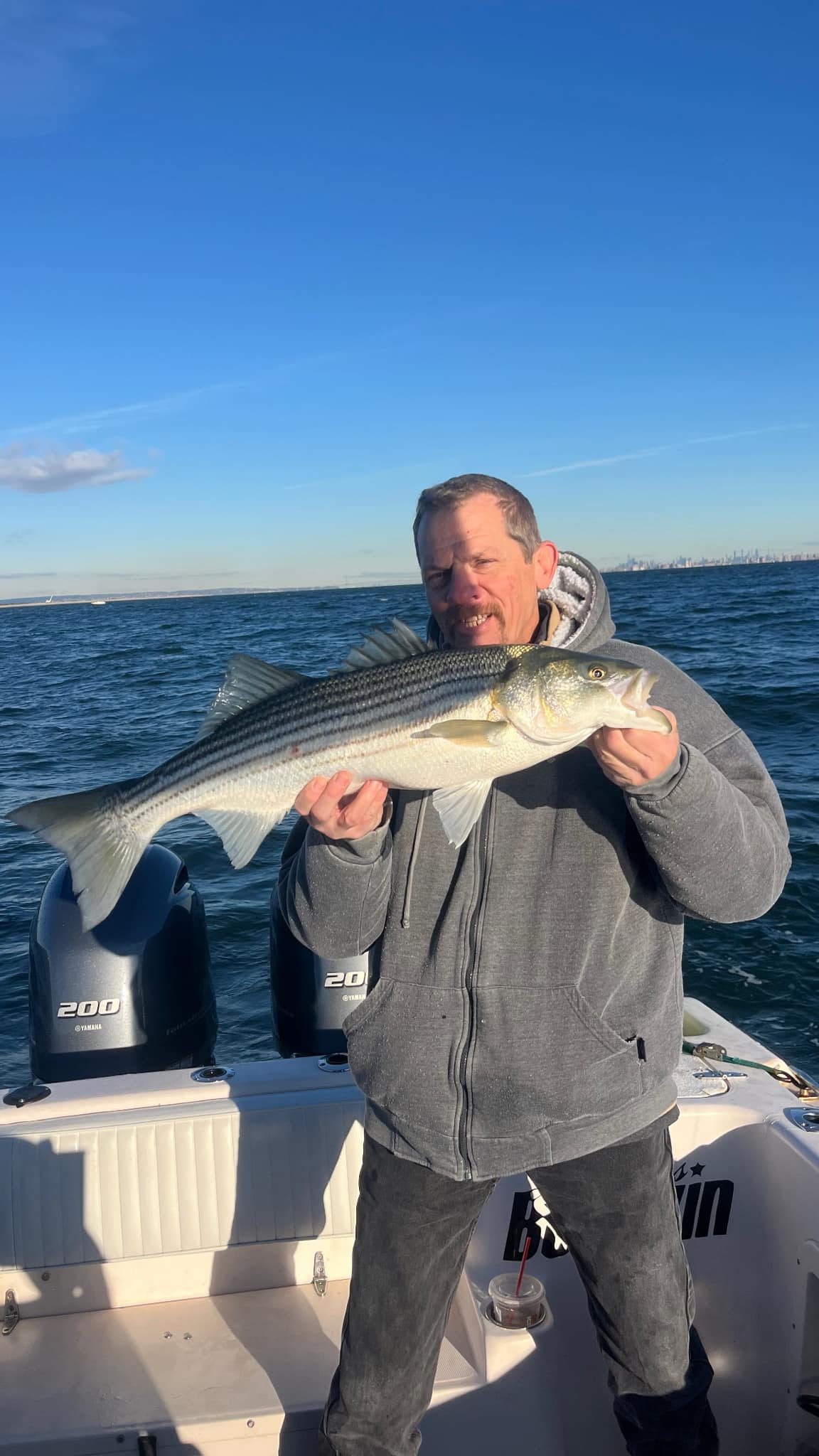 Striped bass catch displayed on fishing boat in Woodbridge Township NJ waters