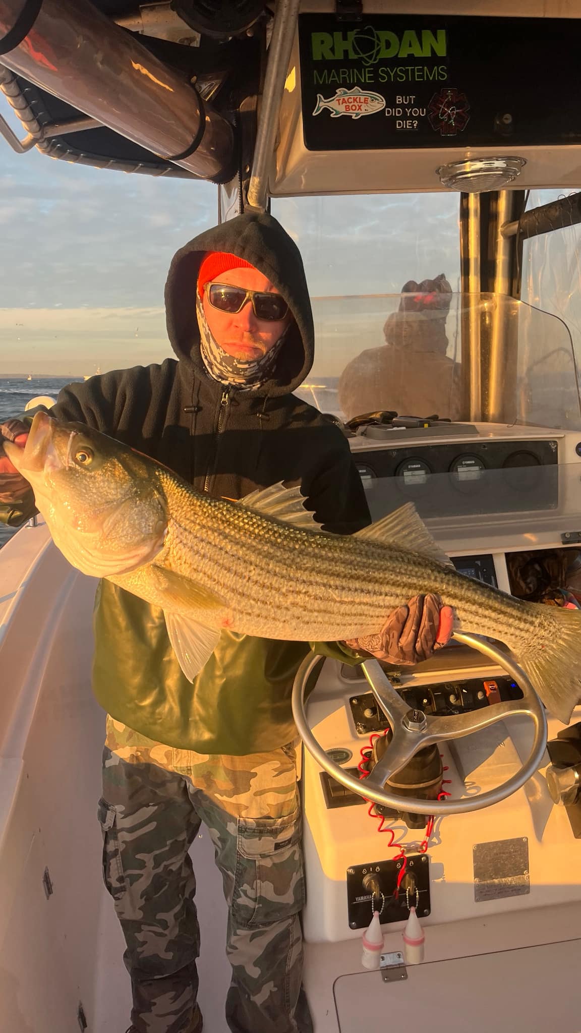 Striped bass catch held on fishing boat in Woodbridge Township NJ
