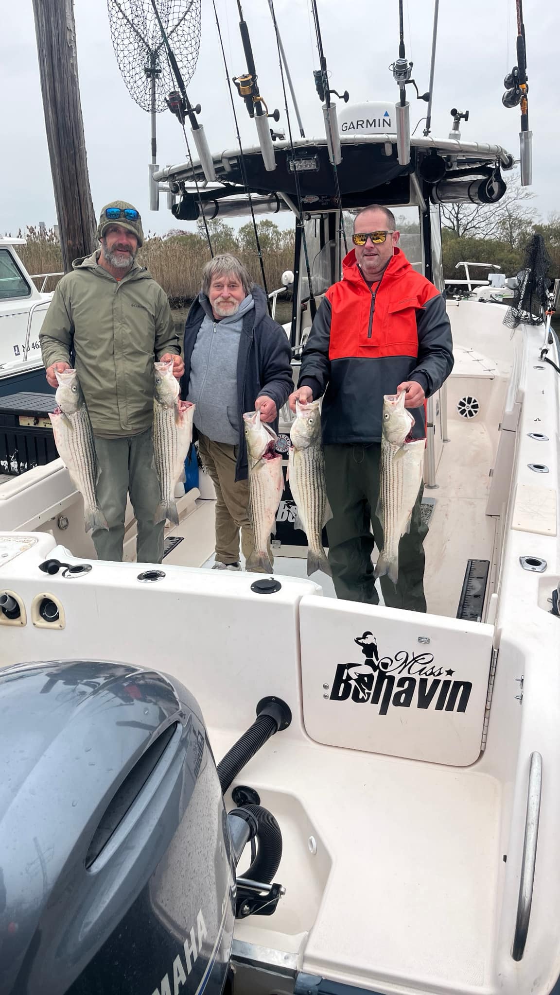 Three anglers display caught striped bass on fishing boat in Woodbridge Township NJ