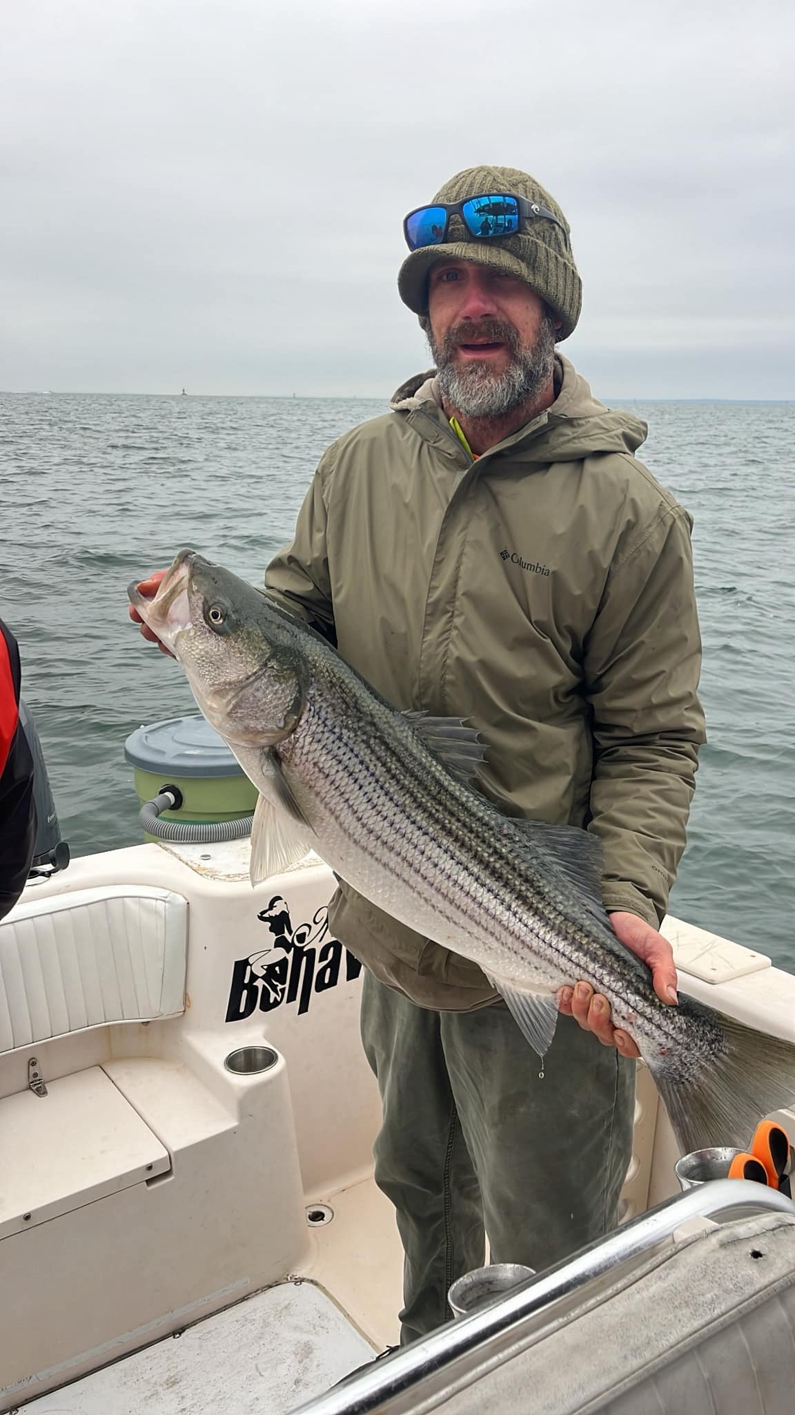 Striped bass catch on fishing boat in Woodbridge Township NJ waters