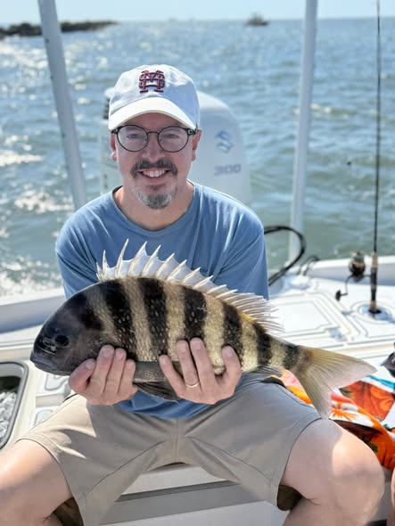Sheepshead fish caught while fishing in Mount Pleasant SC