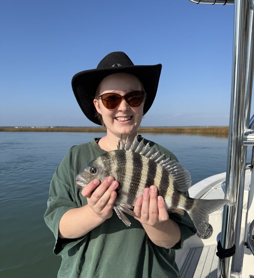 Sheepshead fish caught while fishing in Mount Pleasant SC