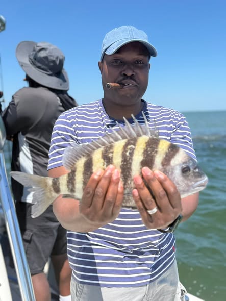 Sheepshead fish caught while fishing in Mount Pleasant SC