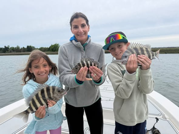 Three sheepshead fish caught fishing in Mount Pleasant SC