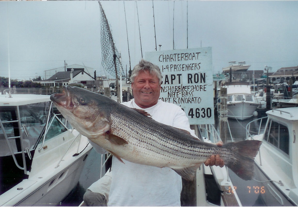 Striped bass caught in Montauk