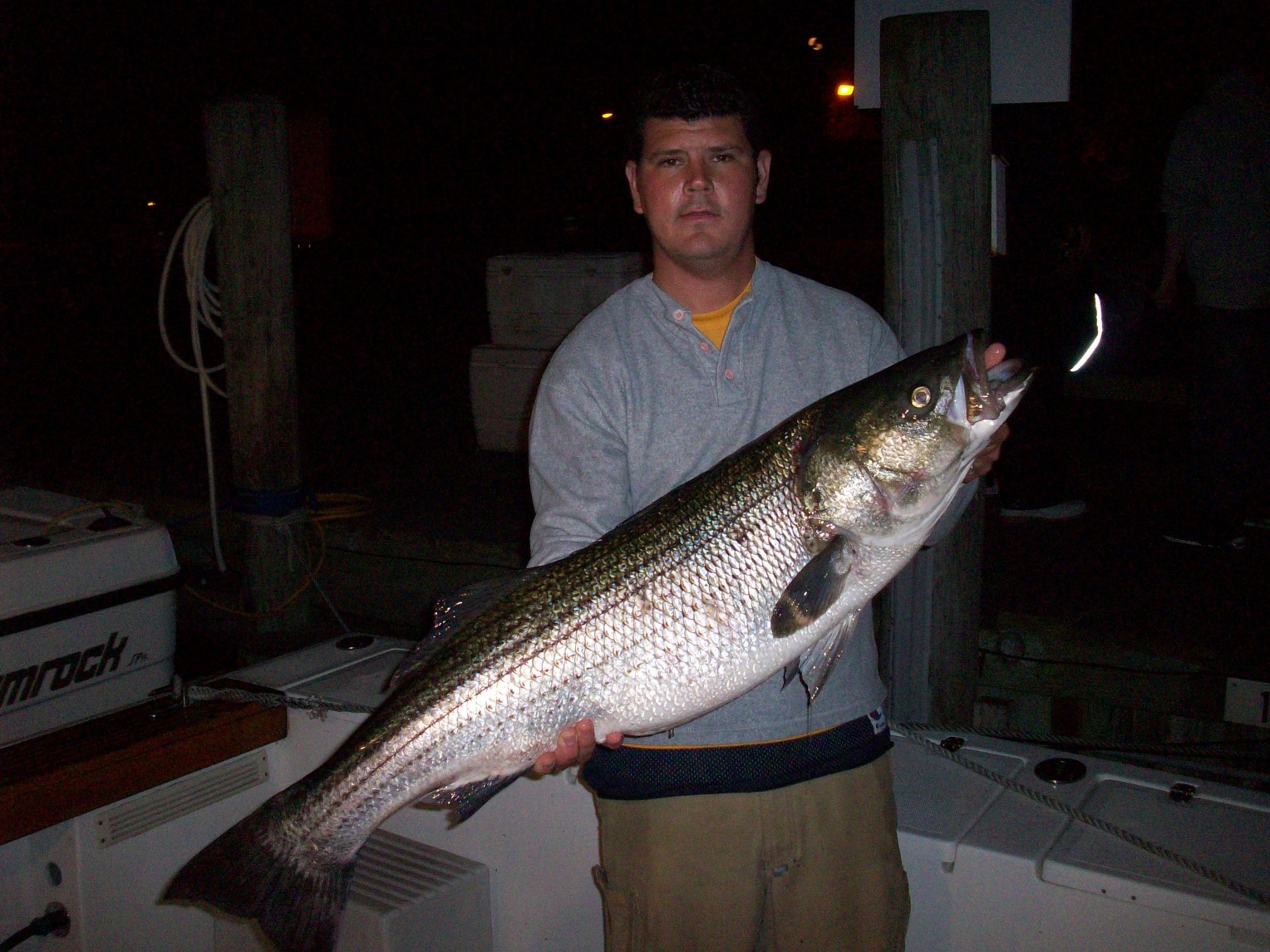 Striped bass caught by angler in Montauk