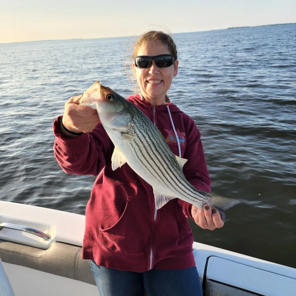 Striped bass caught in Annapolis