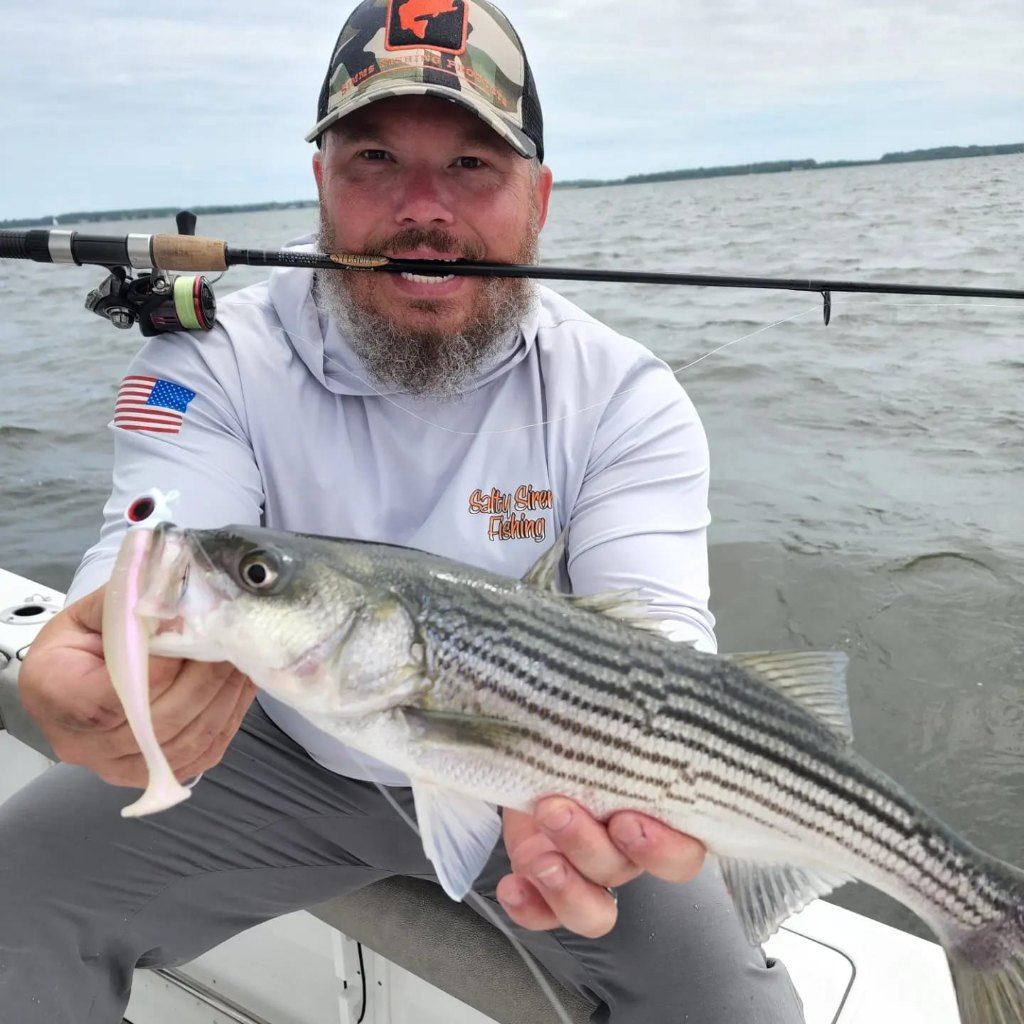 Striped bass caught in Annapolis