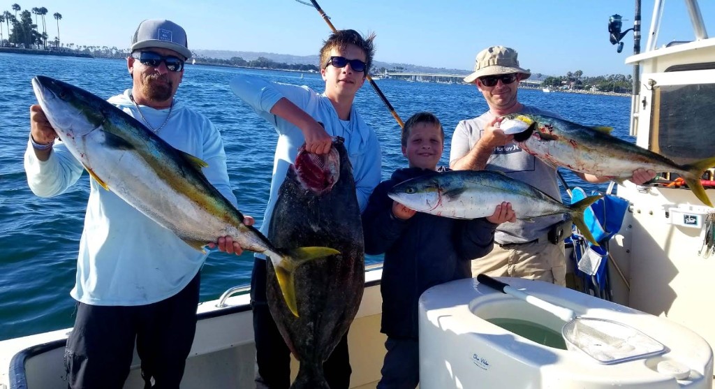 Three greater amberjack fish caught in CA