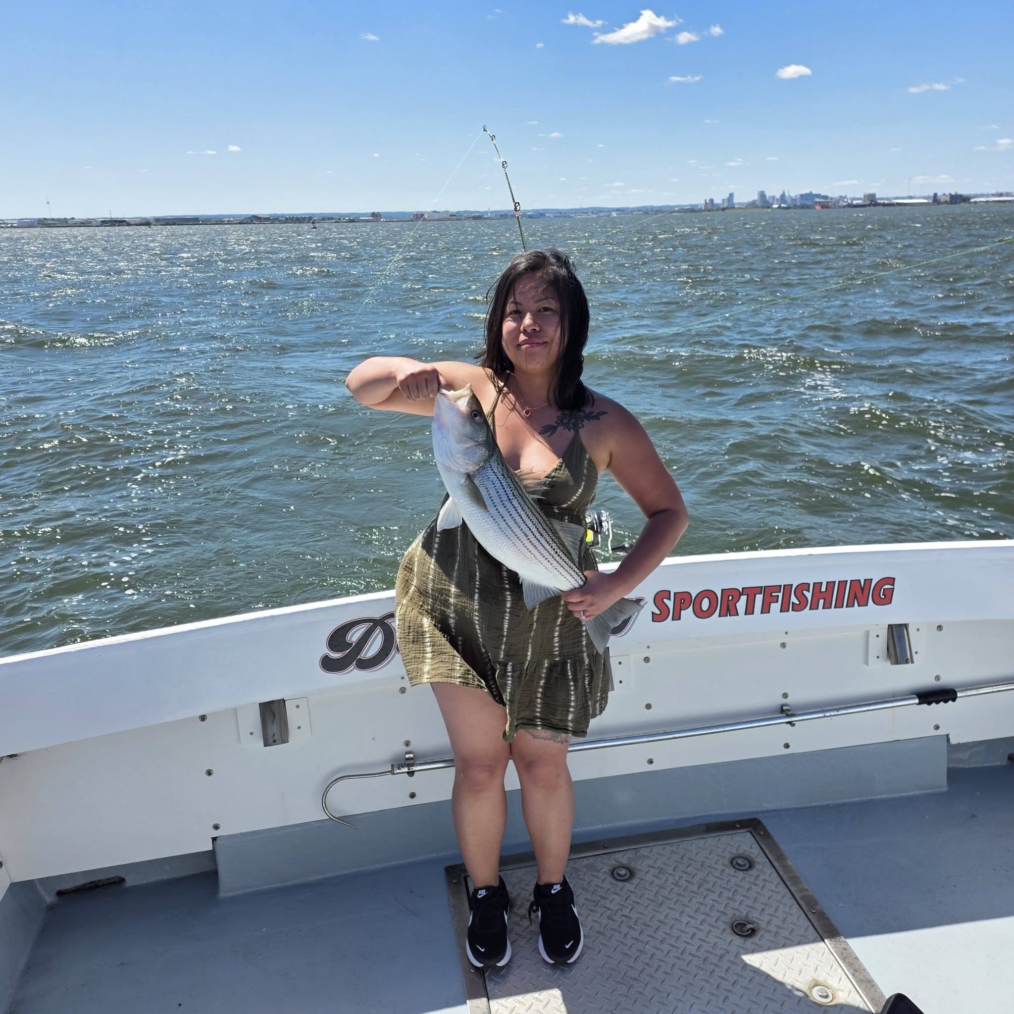 Striped bass catch displayed on sportfishing charter boat in Baltimore MD waters