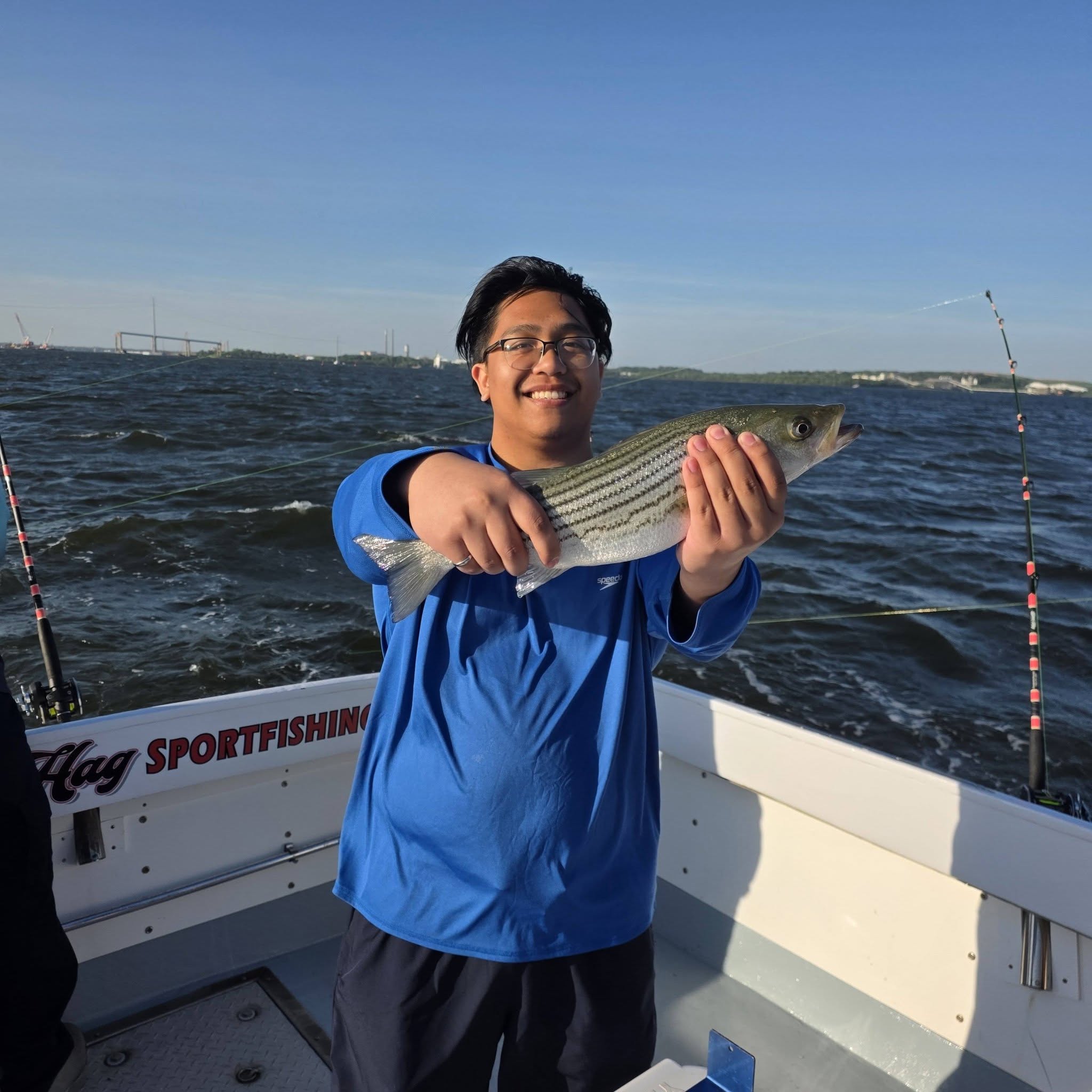 Striped bass catch displayed on fishing charter boat in Baltimore MD waters