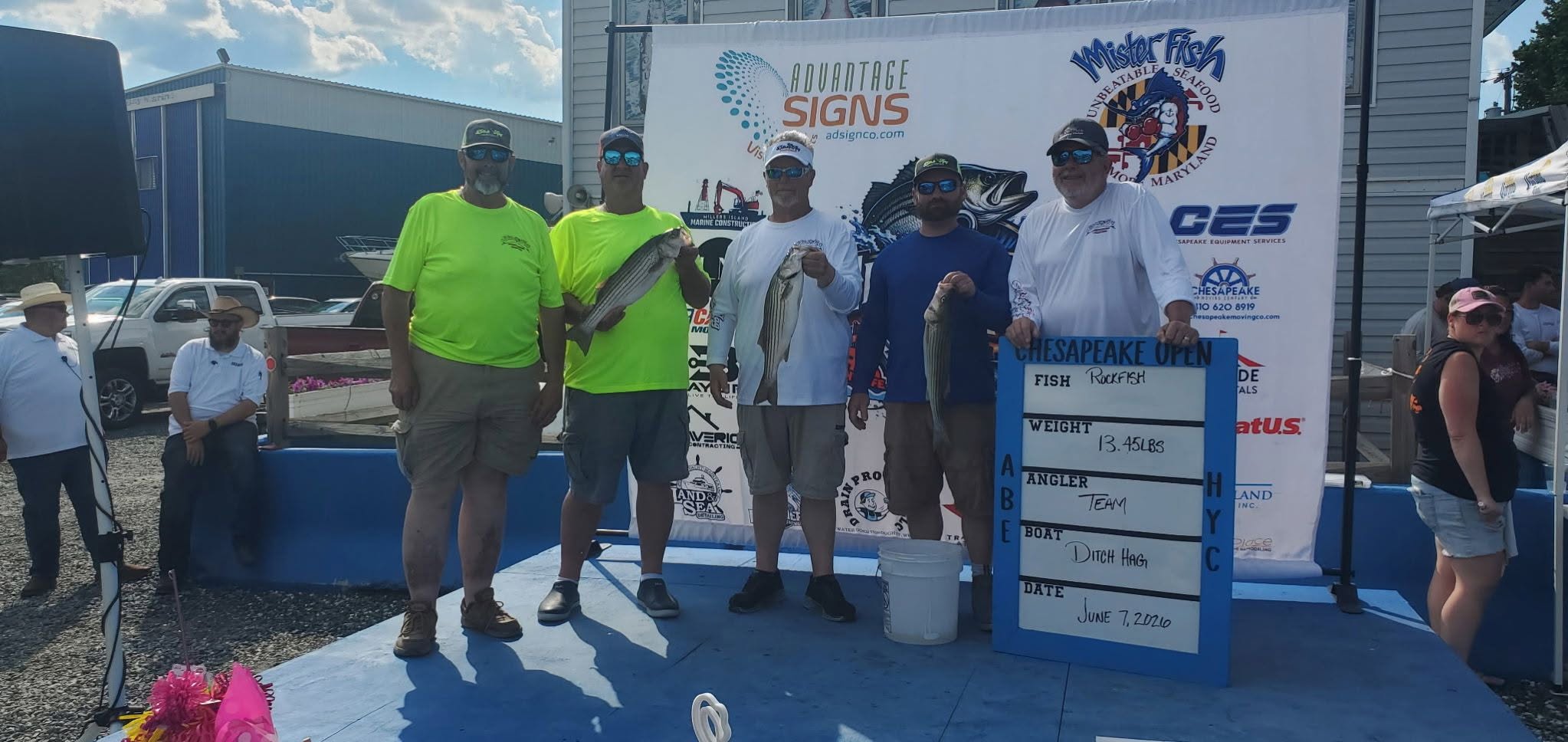 Striped bass fishing tournament weigh-in with multiple fish displayed on scale in Baltimore MD