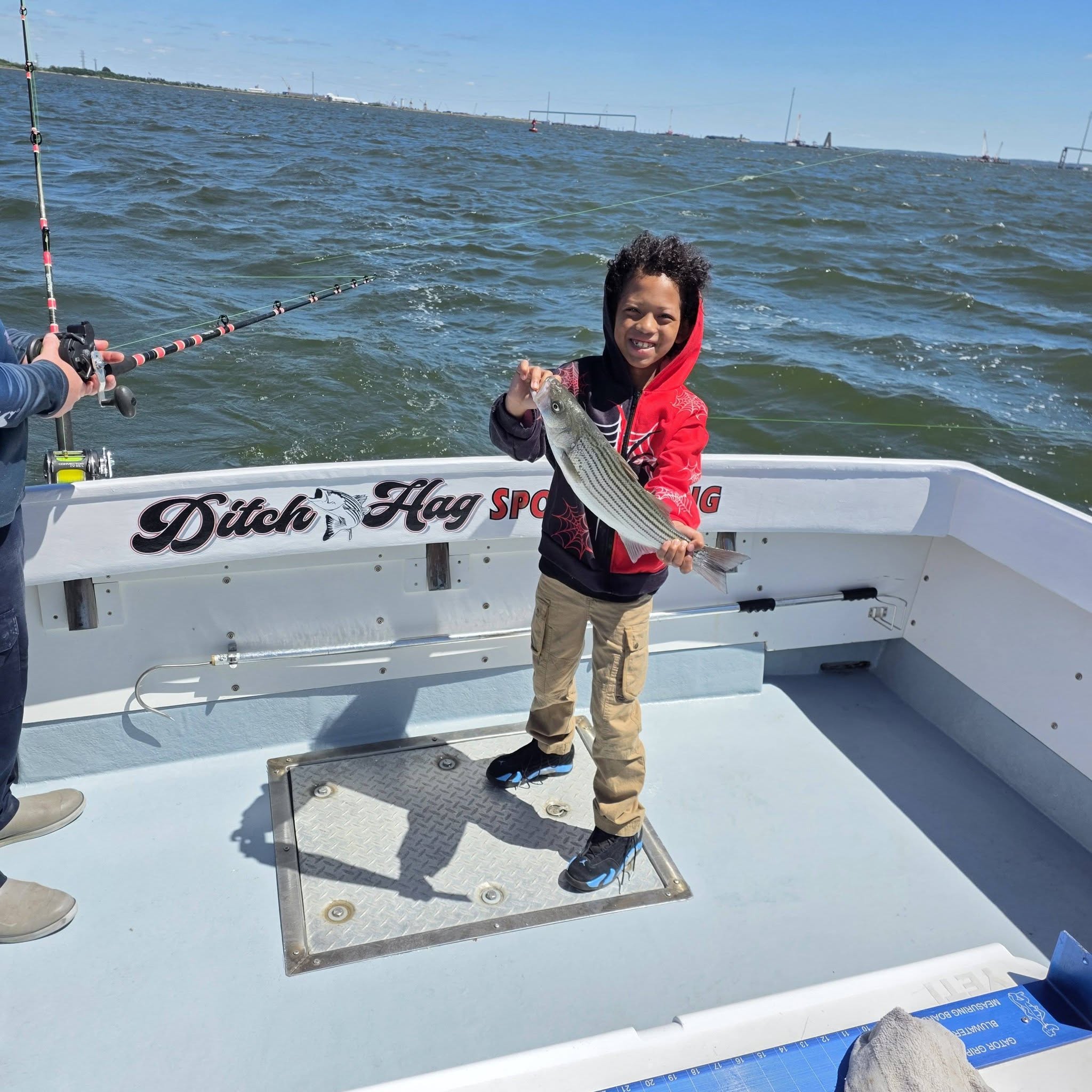 Striped bass catch displayed on fishing charter boat in Baltimore MD waters