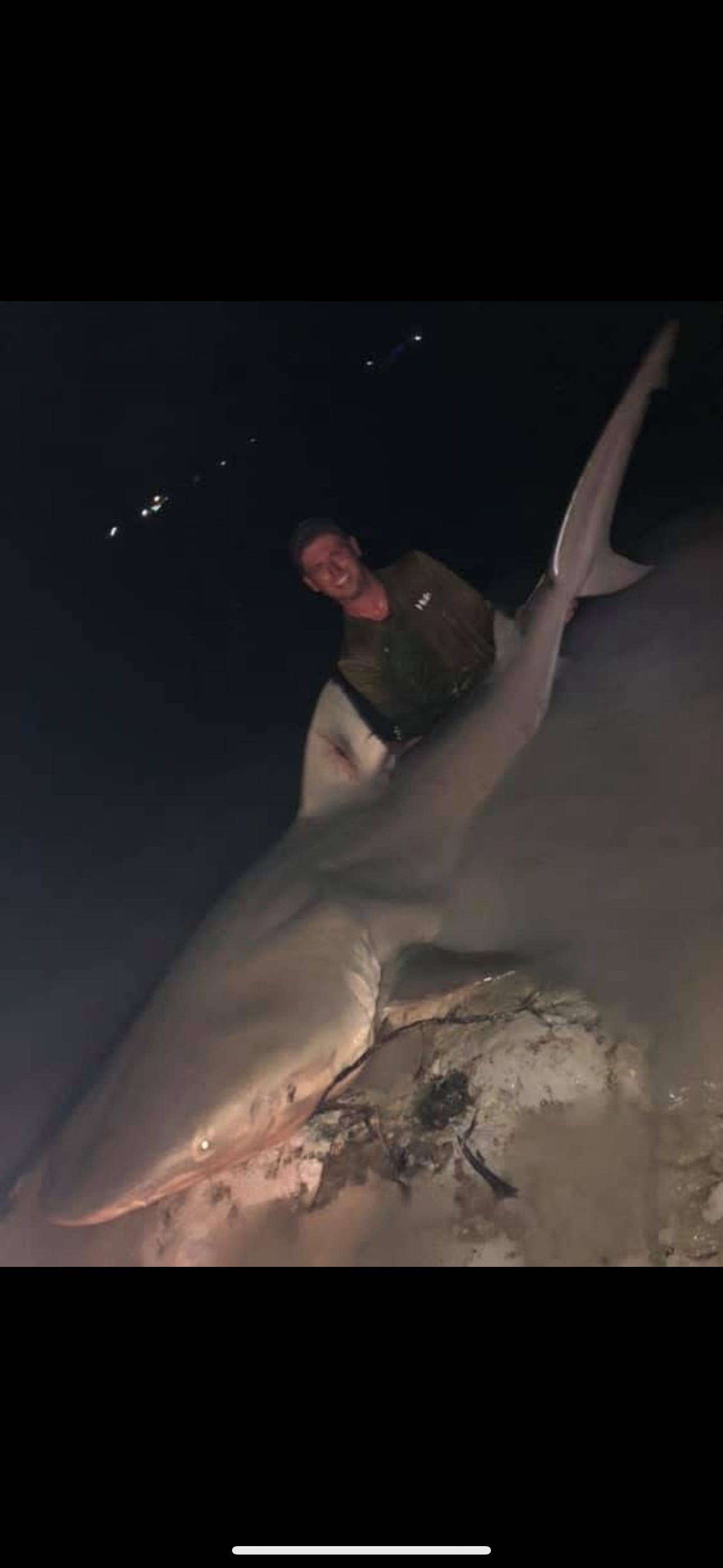 Blacktip shark, 63 inches, fishing in FL