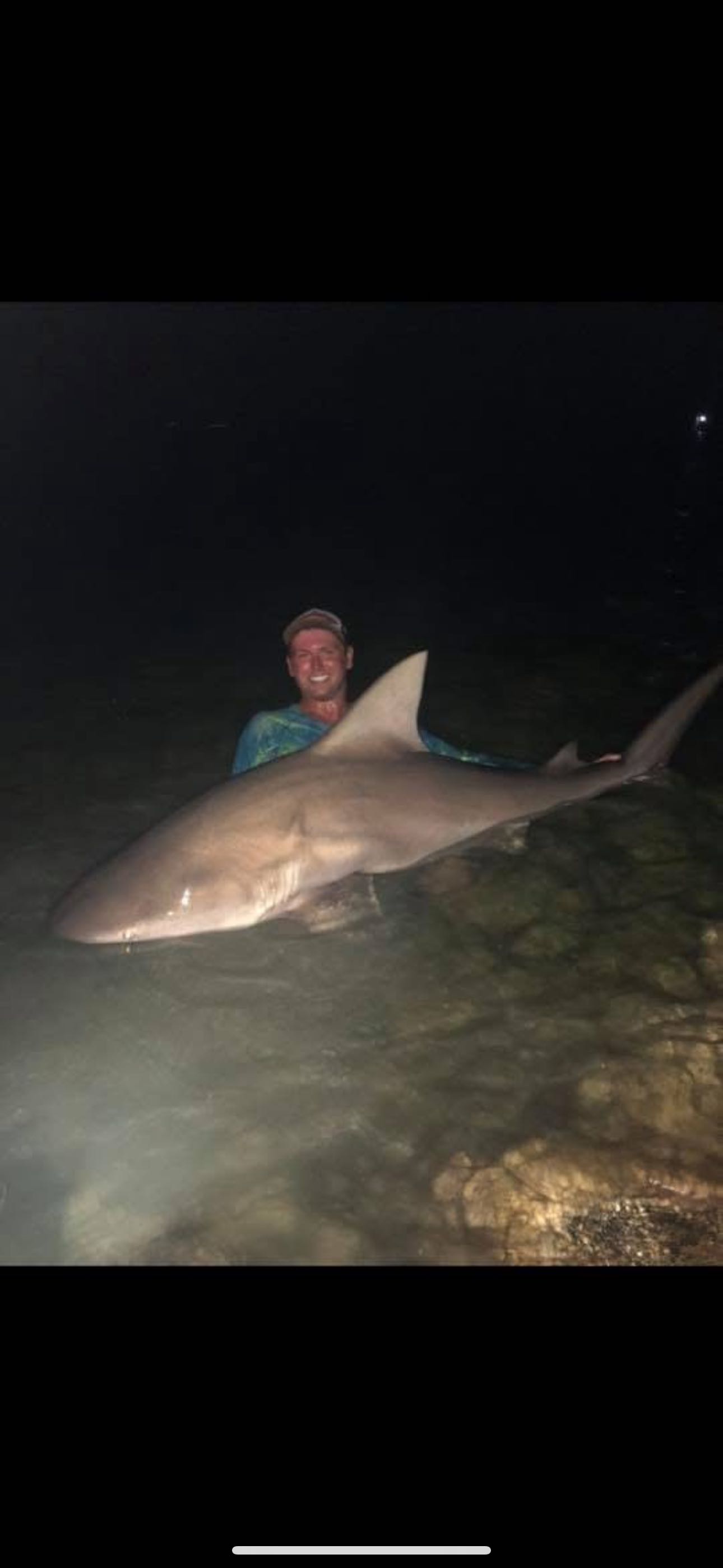 Bull shark caught while fishing in FL