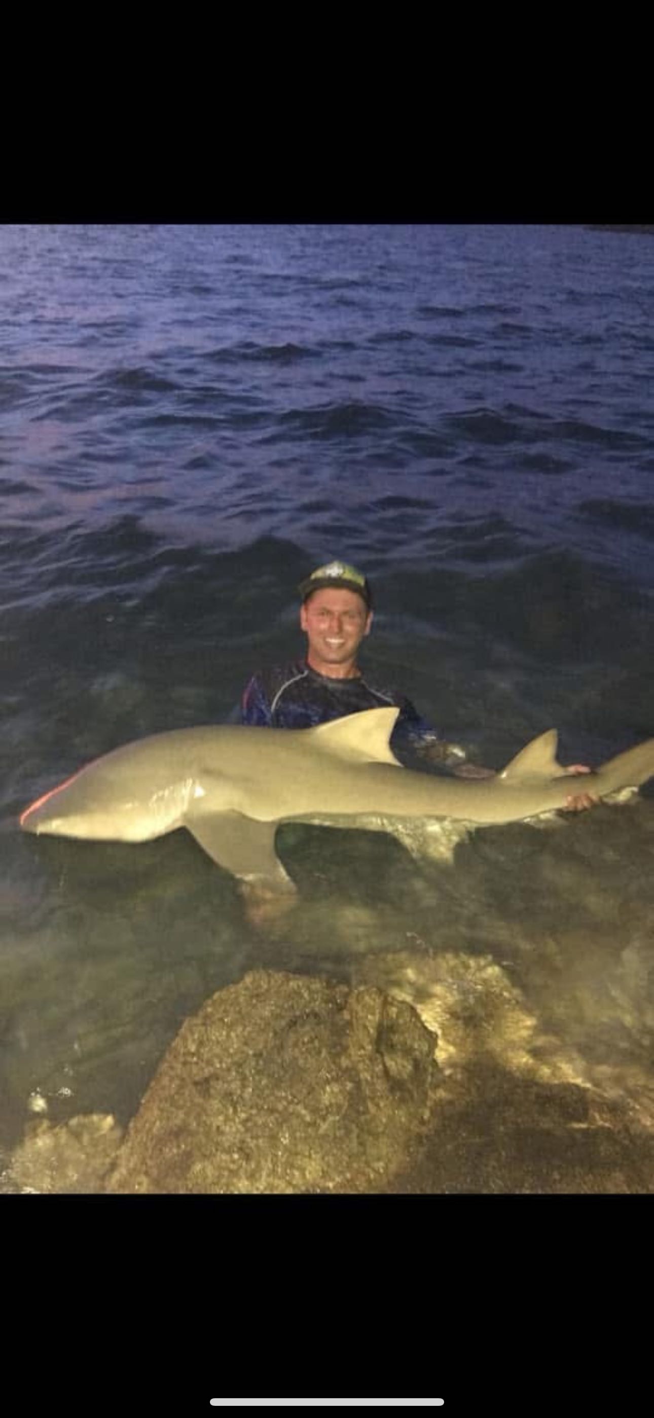 Nurse shark caught while fishing in Marathon, Florida