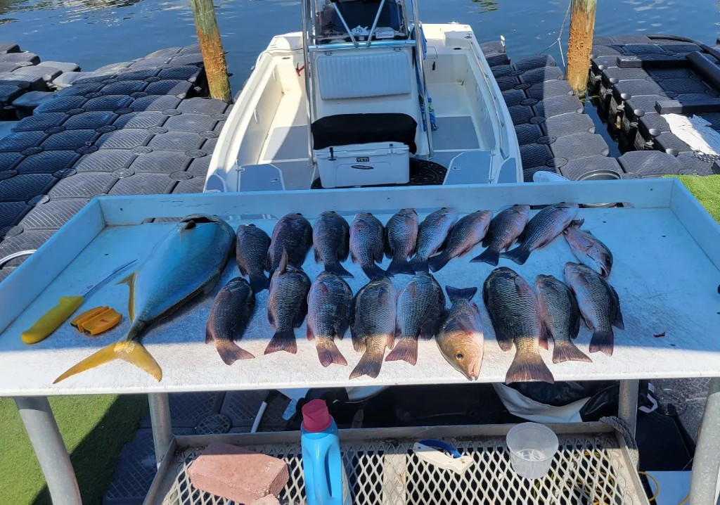 Seven fishing rods with a scenic view of Key Largo