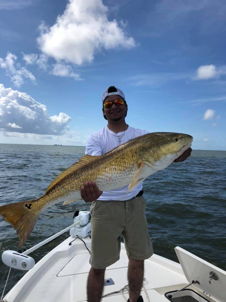 Redfish caught in LA