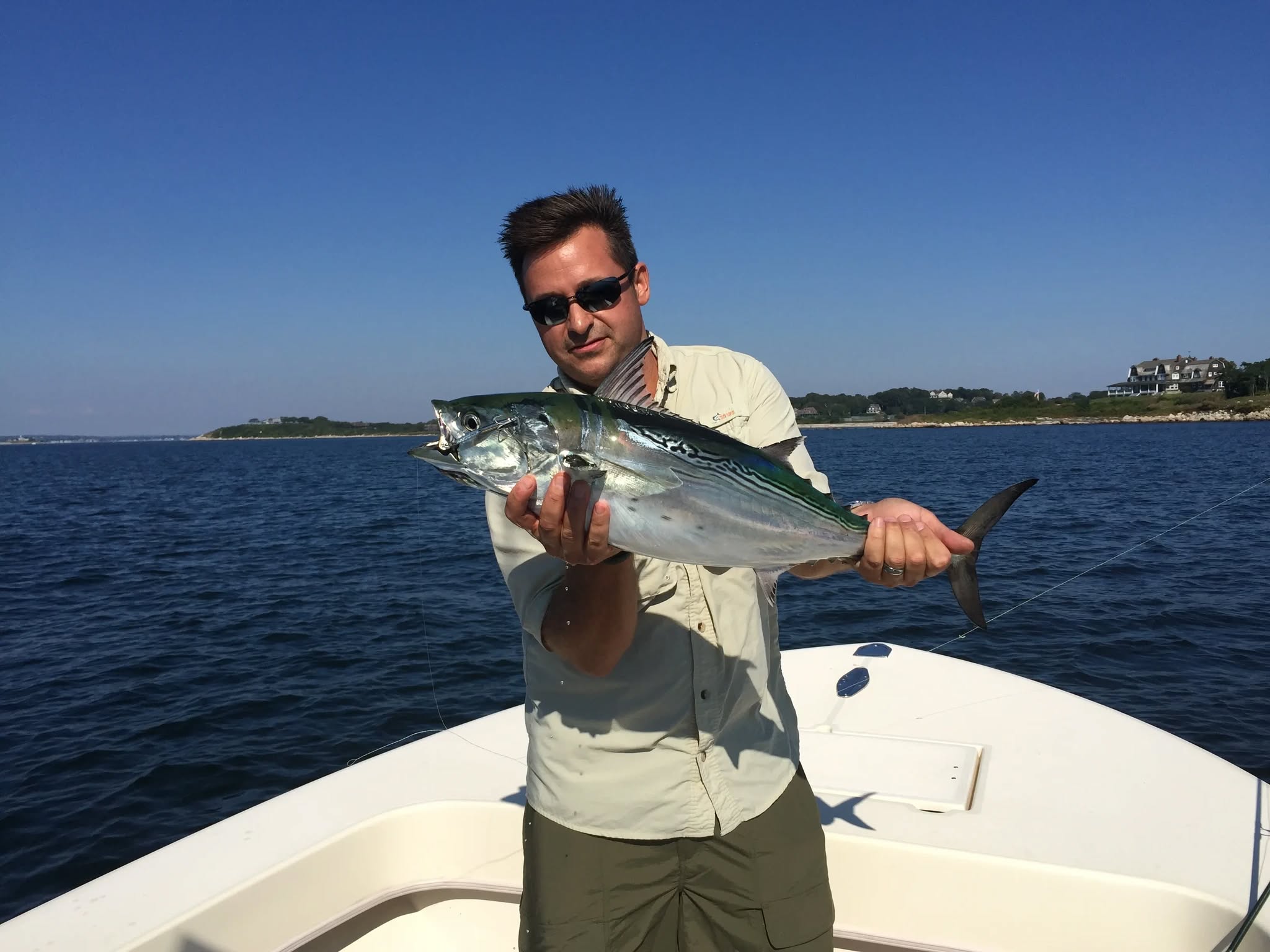Little Tunny fish caught while fishing in CT
